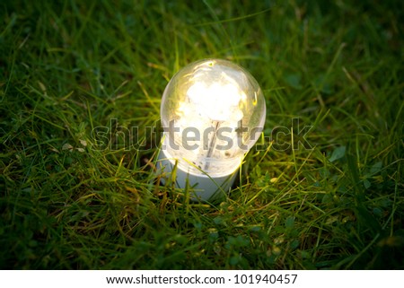 led lamp on the green grass