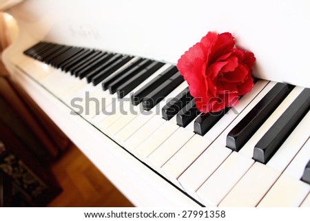 red flower on the piano keys