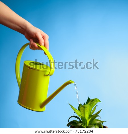 hand watering a plant with watering-can