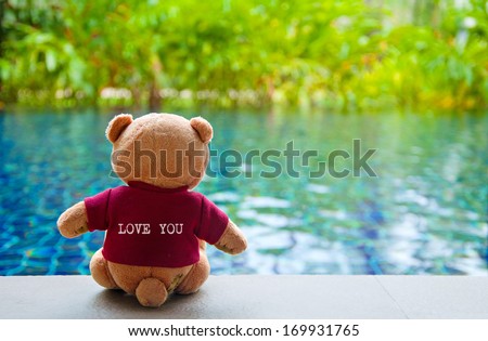 Back view of Teddy Bear wearing red T-Shirt with text \