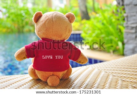 Back view of teddy bear wearing red T-Shirt with text \