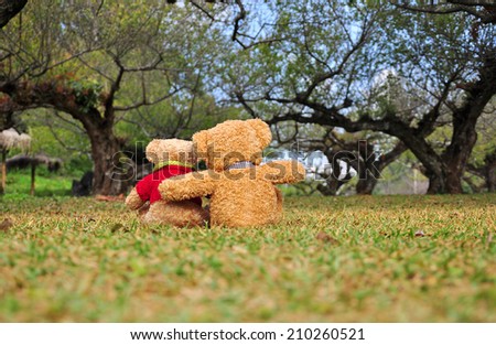 Two teddy bears sitting in the garden. Concept about love and relationship.