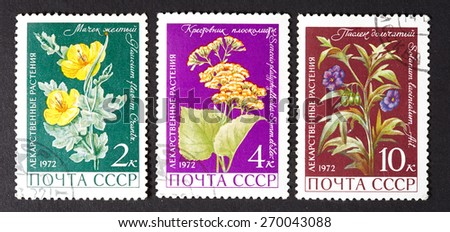 USSR - CIRCA 1979: a series of stamps printed in USSR, shows medicinal plants, CIRCA 1979