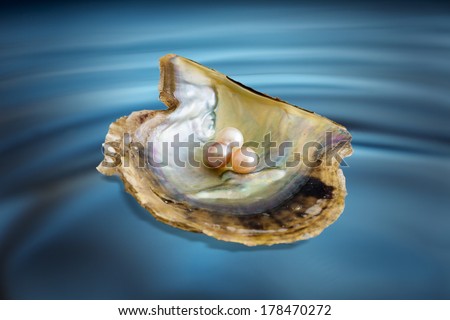 multi colored pearls in a pearl oyster shell against water texture background