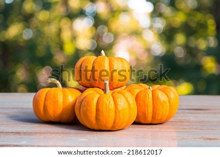 mini pumpkins close up