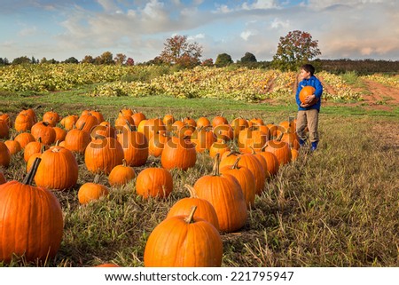 a child picking out a pumpkin from a pumpkin patch