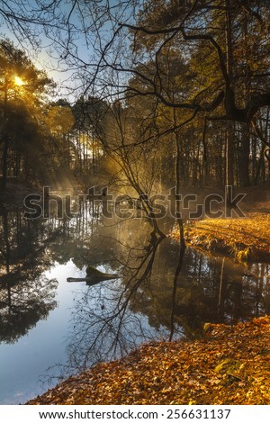 The warm sun creates mist over a lake hidden under pine trees in woodland in Dorset