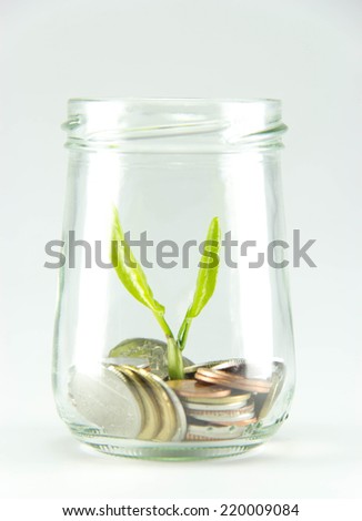Growing plant with coin money.