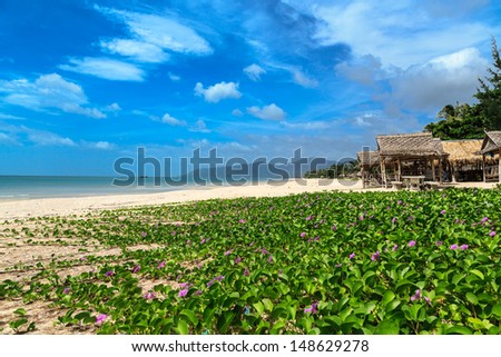 Kho Khoa beach, Khanom, Nakornsrithammarat,Thailand, quiet beach in south of Thailand.