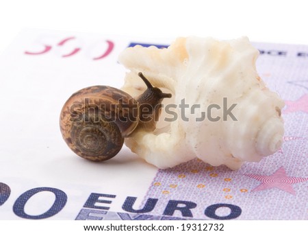 Garden snail and sea shell on a background from banknotes