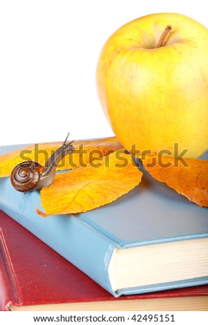 The garden snail, books and apple on a white background. Back to school.