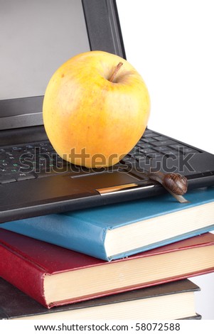 The garden snail, notebook, books and apple on a white background. Back to school.