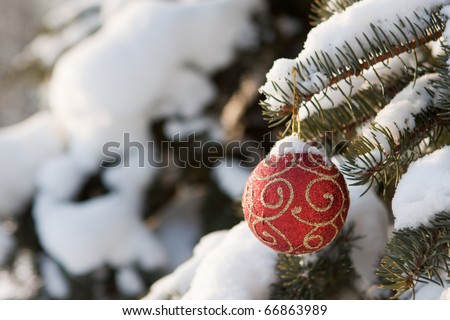 Christmas toy on a snowy branch of fir-tree in winter wood.
