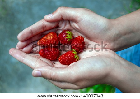 A few strawberries in hands