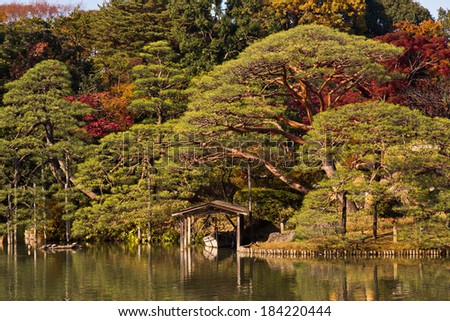 Beautiful Japan forest in Shinjuku park.