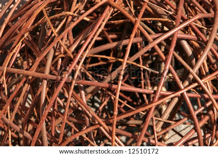 Brown Twig