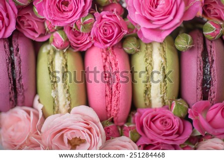 spring berry pink pastel color macaroons with roses background for valentines mother day easter with love