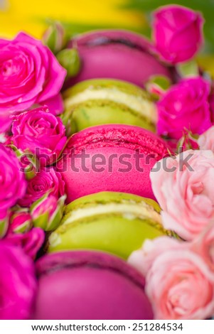 spring berry color macaroons with pink roses background for valentines mother day easter with love