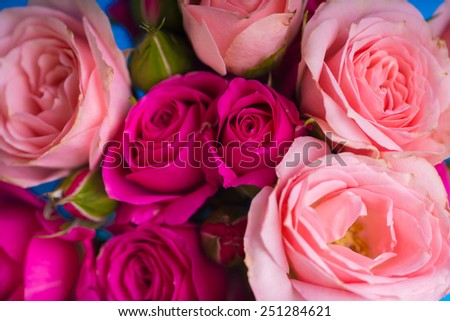 pink and red roses bouquet background for valentines mother woman day easter with love