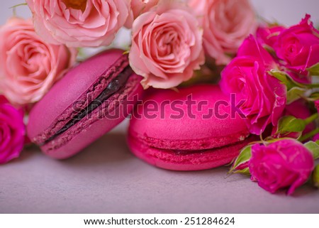 spring berry pastel color macaroons with roses background for valentines mother woman day easter with love