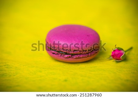 berry spring color macaroon with roses yellow background