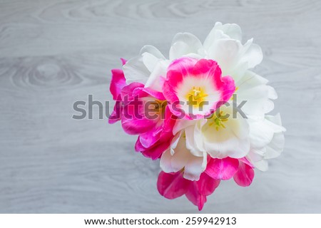 spring flowers tulips bouquet pink and white laying on wooden background present for holidays mother woman day valentines easter