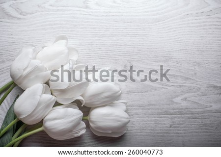 spring flowers white tulips bouquet on wooden background present for holidays mother day easter valentines wedding