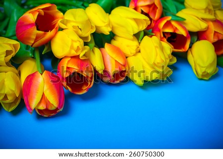 spring flowers colorful tulips bouquet present for holidays mother day easter valentines\
background invitation