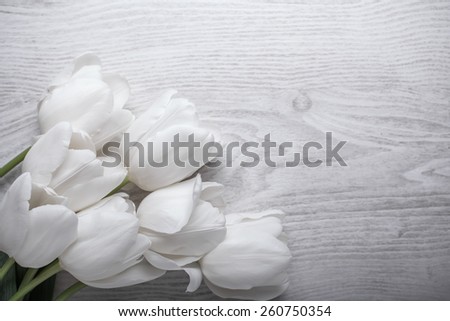 spring flowers white tulips bouquet on wooden background present for holidays mother day easter valentines