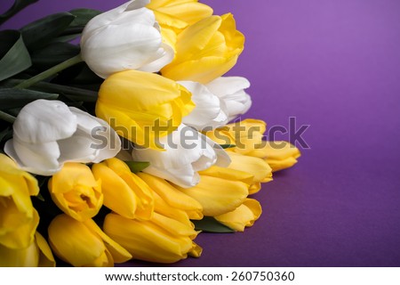 spring flowers yellow tulips bouquet on violet vintage background present for holidays mother day easter valentines