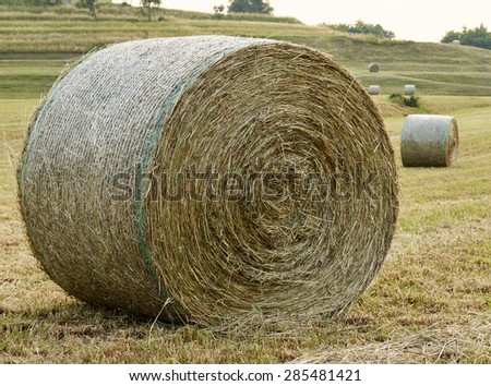 Rolls of gathered hay on the hills, the countryside of the Brianza region of Lombardy, Italy in June 2015