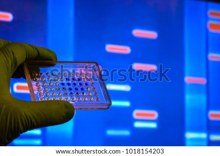 DNA testing in a scientific laboratory. Genome research using modern biotechnology methods.