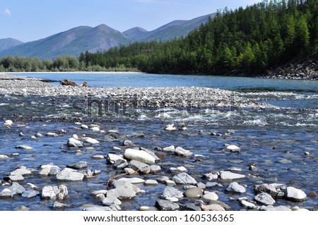 Pebble Bank of a mountain river. Russia, Yakutia, A Ridge Of Suntar-Khayata.