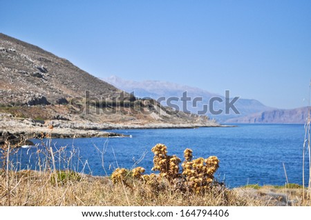 Sea summer landscape coast of the Greek island. Mediterranean sea, the island of Crete. Greece.