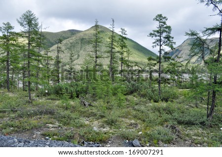Mountains of Yakutia in the late summer. The Federal highway \