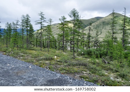 Mountains of Yakutia in the late summer. The Federal highway \