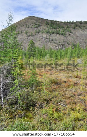 Sparse mountain taiga in Yakutia. Cloudy landscape in the route area \