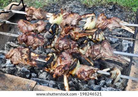 May a picnic in the country. Cooking meat on skewers over the coals.