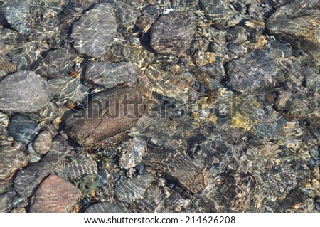 Background of river pebbles under the clear water. Polar Ural, Komi Republic, Russia.