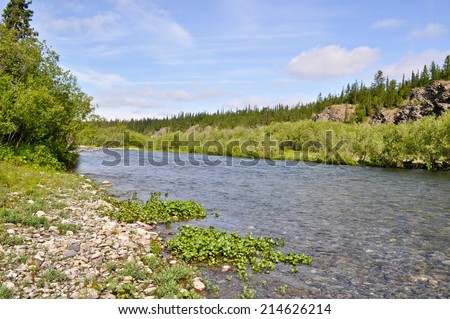North river landscape. The polar Urals, the river Lemva, Republic of Komi, Russia.