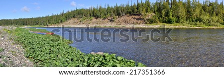 Panoramic river landscape in the polar Urals. Summer in the Russian North is short and beautiful.