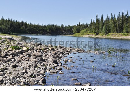 Pebbles on the banks of Ural taiga rivers. Polar Ural, Komi Republic, Russia.