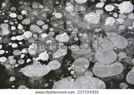 The texture of the first ice. Air bubbles in the ice in late autumn on the pond.