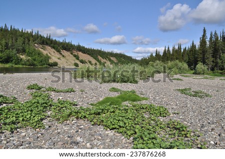 Pebbly shore North of the Ural river. River Kokpela flows on the Western slope of the Polar Urals.