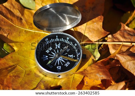 Compass in fallen leaves. Autumn walk with orientation in the Park with fallen leaves.