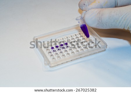 In biological research laboratories. The wells and printed samples of the investigated material.