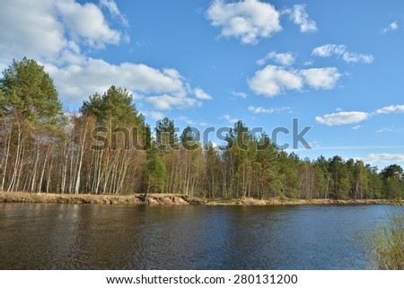 Sunny day at the spring river. Spring landscape, river in the national Park \