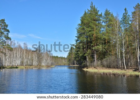Spring forest river. Spring river landscape in the national Park of Central Russia.