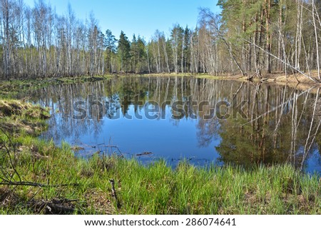 Forest lake in the spring. Forest spring water landscape in the National Park of Central Russia.
