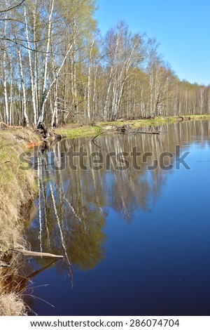 Spring river landscape. Forest river National Park in Central Russia.